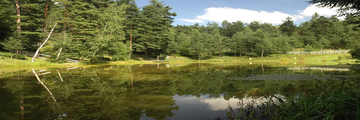 Lacul limpede