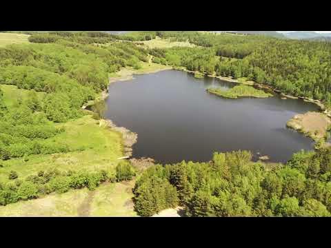 Lacul Mocearu